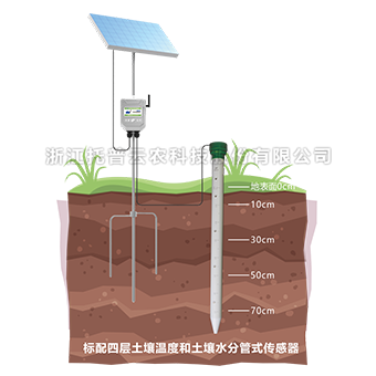 向日葵污视频APP剖面水分测定仪