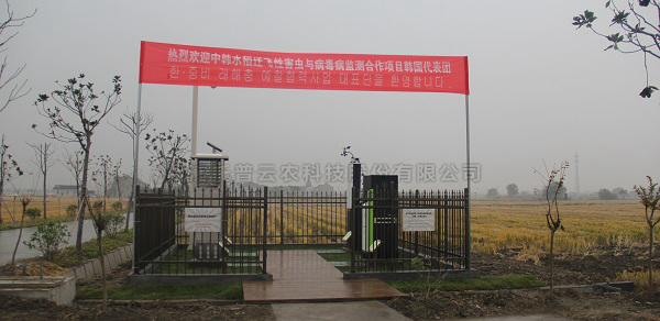 向日葵网页版水稻病虫害绿色防控智能监测设备 向日葵网页版水稻病虫害绿色防控智能监测设备