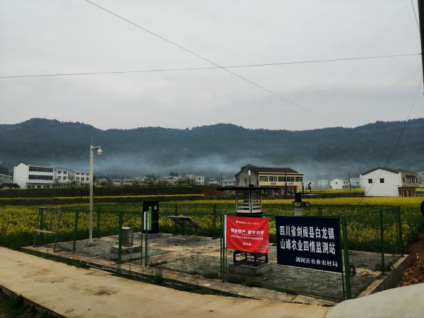 向日葵网页版病虫害监测点 向日葵网页版病虫害监测点