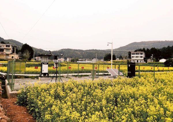 向日葵网页版病虫害监测点 向日葵网页版病虫害监测点