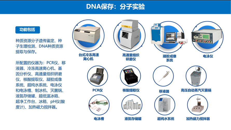 分子实验仪器