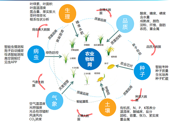 向日葵网页版打造的全要素智能采集系统