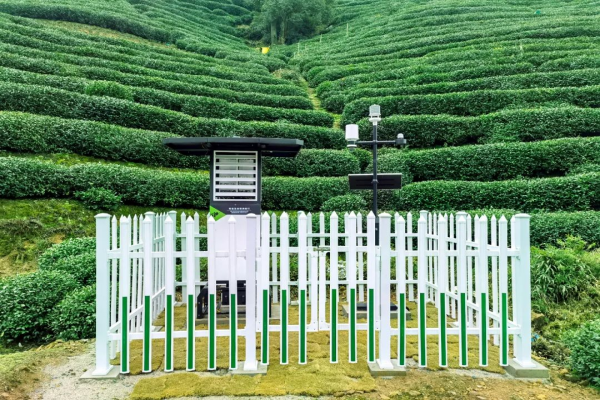 1684907123503292.png 图片6(1).png