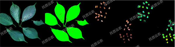 1722995310993469.jpg 高光谱植物数字采集分析系统-1.jpg