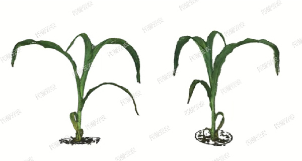 1723009899471880.jpg 逆境模拟及植物生长监测平台-3维.jpg