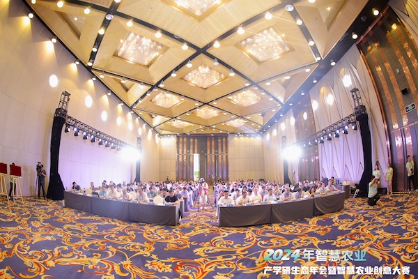 1723022488568335.jpg 1.jpg