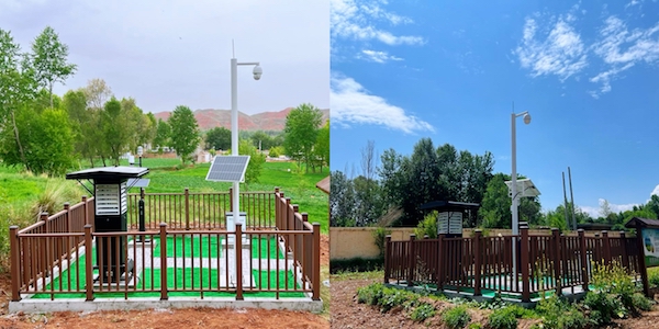 1724835281493547.jpg 4.jpg