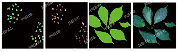 1725441605263069.jpg 6.jpg