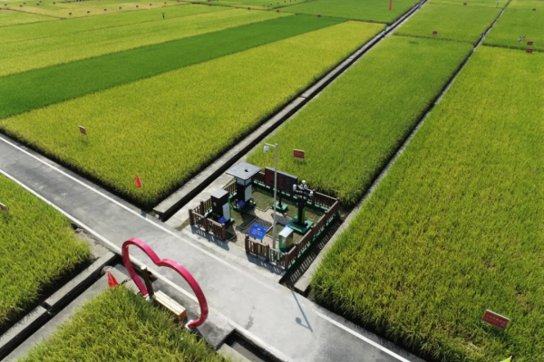 1730440012731417.png seo (3).png