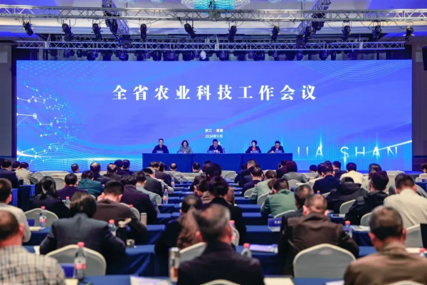 1731488041941201.png seo图1.png