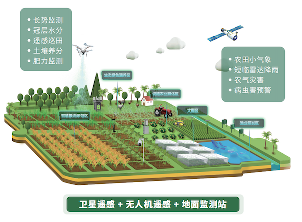 1734425895761528.jpg 2.jpg