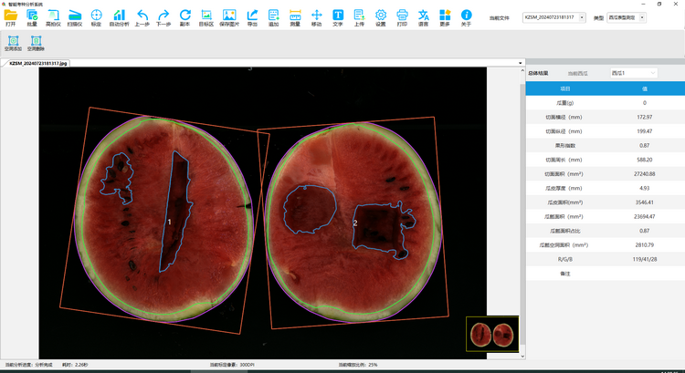 1739005495539788.png 3. 西瓜表型测定(2).png