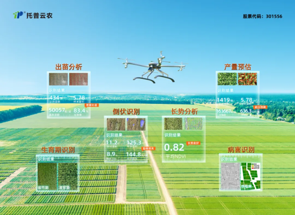 1740475401801282.png seo- (7).png