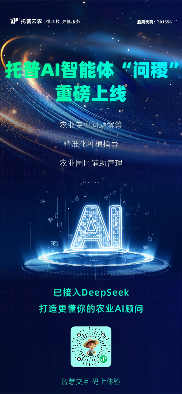 1741167350551227.png SEO-2.png