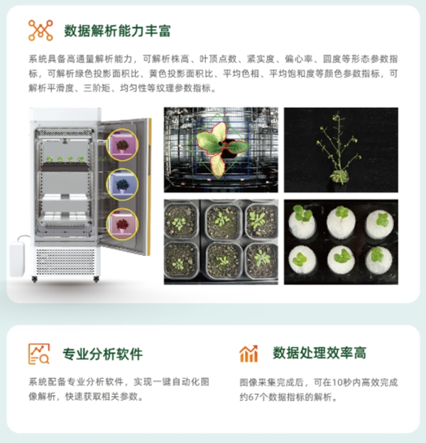 1742203276532514.png 11.png