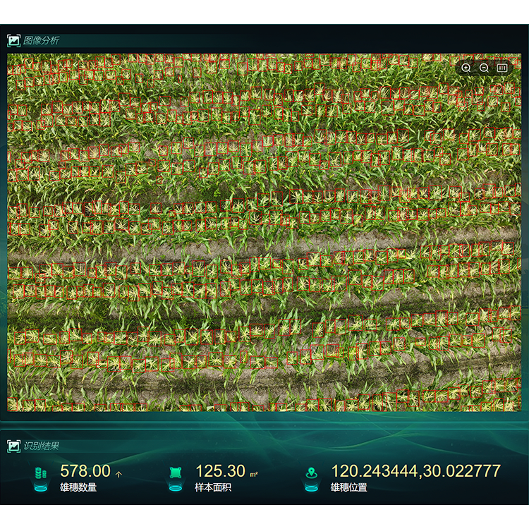 1742798828878485.png 【750】玉米表型生长监测系统1.png