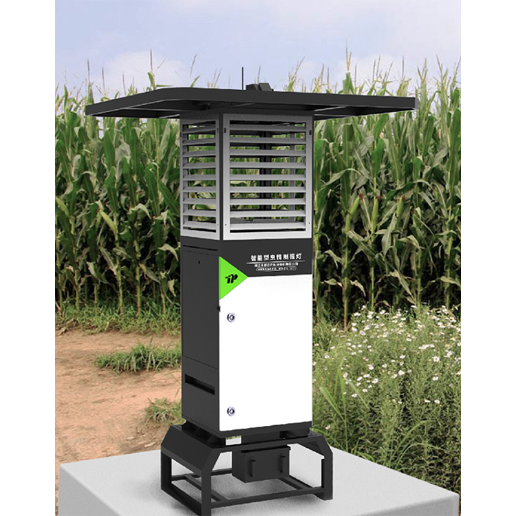 1743060144347239.jpg 7.jpg