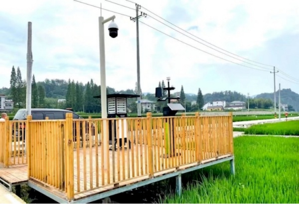 1744101741353380.jpg 5_副本.jpg