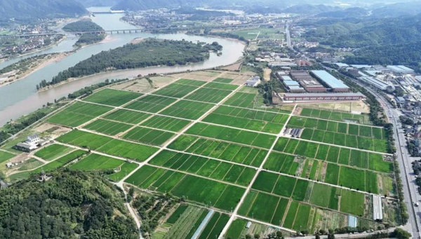 1744102905905801.jpg QQ浏览器截图20250408170109.jpg