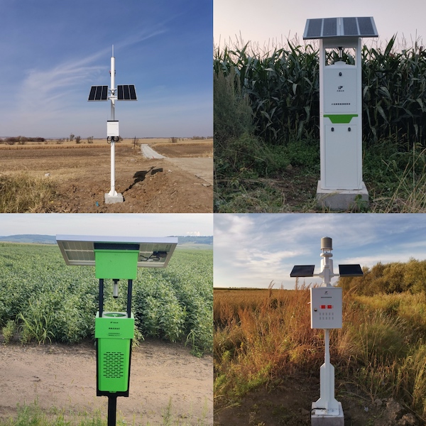 1744103607938999.jpg 3.jpg