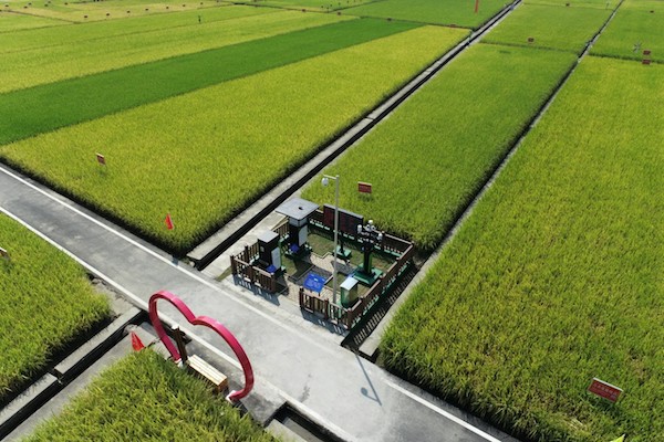 1744623196390605.jpg 6.jpg