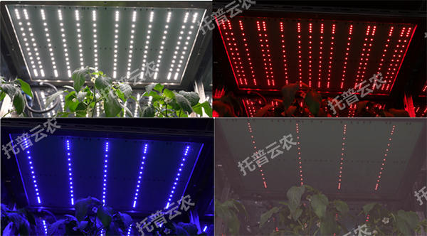 1744708253224731.png 图片2.png