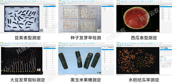 1745227948667292.png 图片5.png