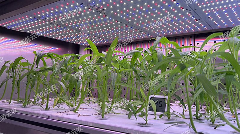 1745917641653478.png 图片3.png