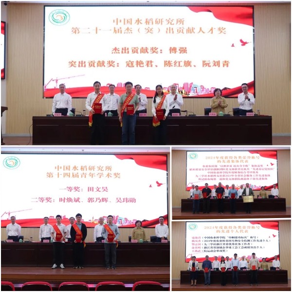 1746695418732427.jpg seo-3.jpg