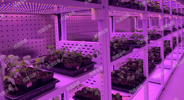 1747101857339700.png 8_副本.png