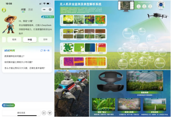 1749086346260366.png SEO图5.png