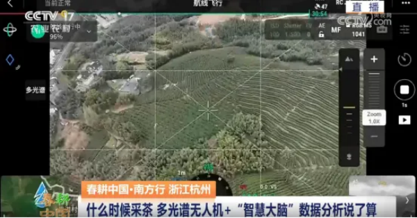 1749540199228169.png 图片7.png