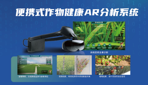 1754300844171084.png 图片7_副本.png