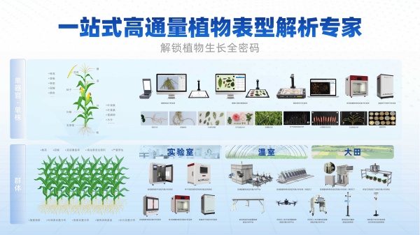 1755565137641375.jpg 植物表型产品集合_副本.jpg