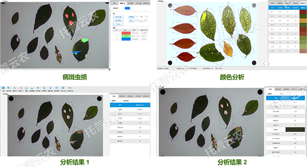 1755566511174832.png 图片2.png