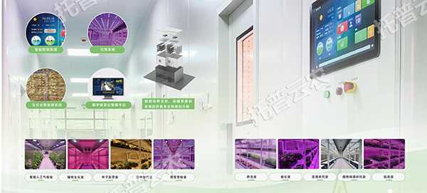 1755567081519008.png 图片2.png