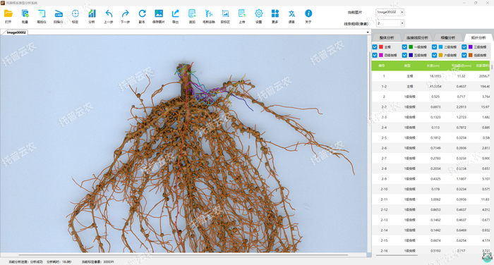 1757053232699823.png 花生-拓扑分析.png