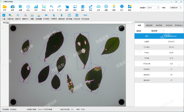 1757057648546776.png 分析结果.png
