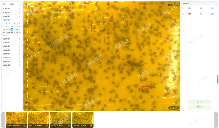 1757558874590136.png 智能识别 自动计数.png